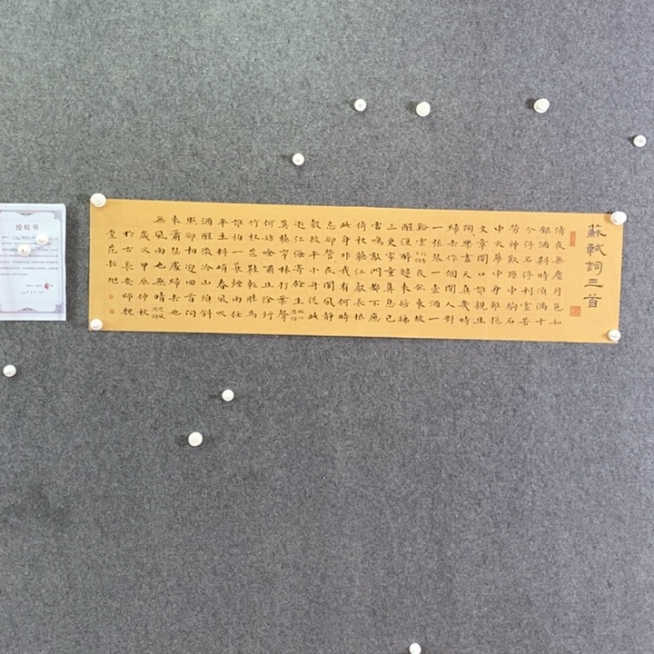 书法书法作品多次参加全国