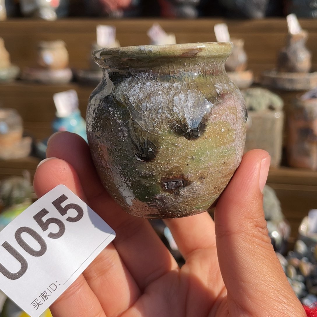 坛子姐花盆 拇指盆 内口3.5左右 百搭