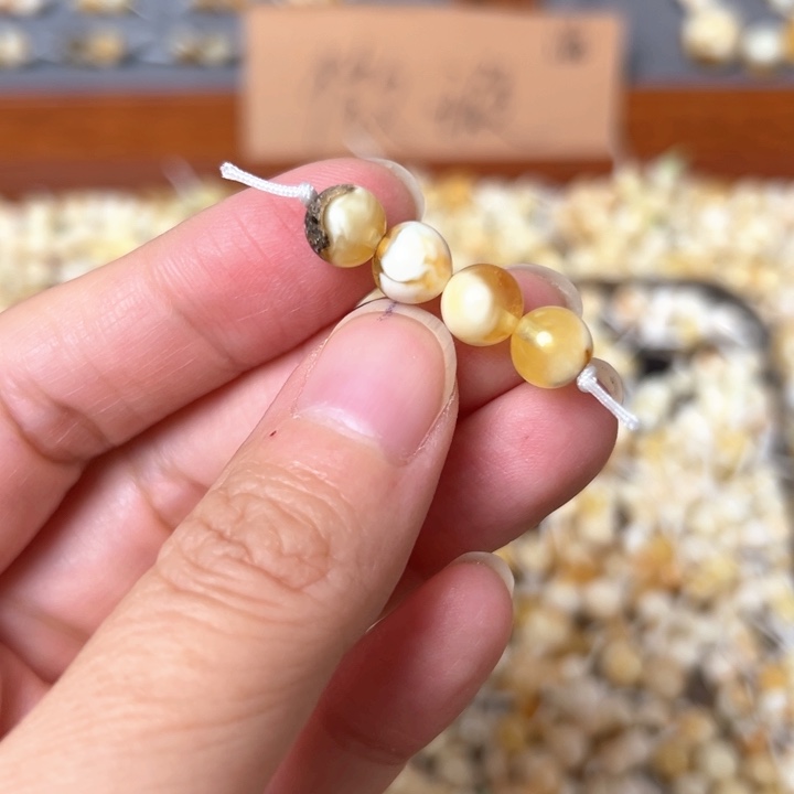 蜜蜡未镶嵌裸石7.3mm一组