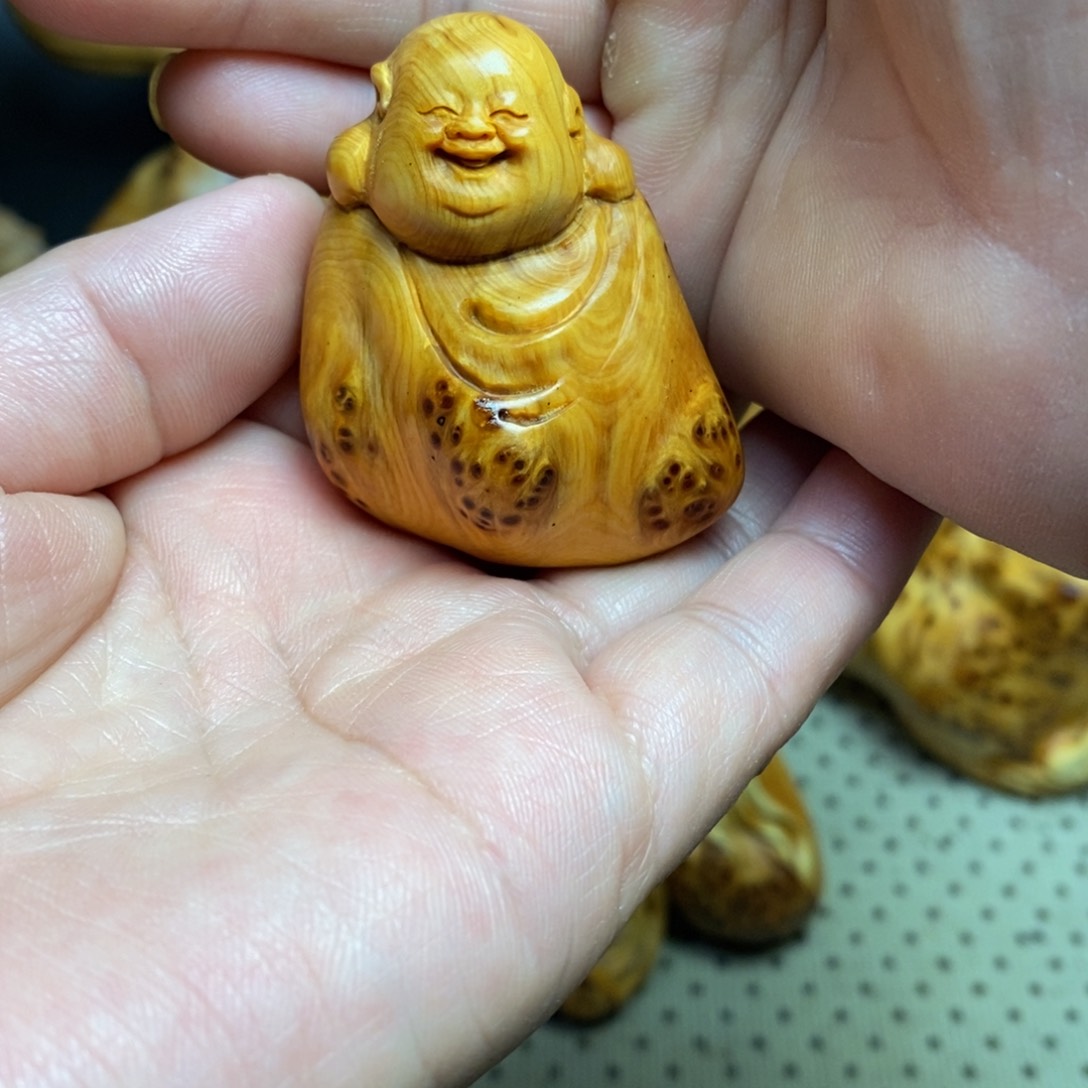 柏木（崖柏）太行山上