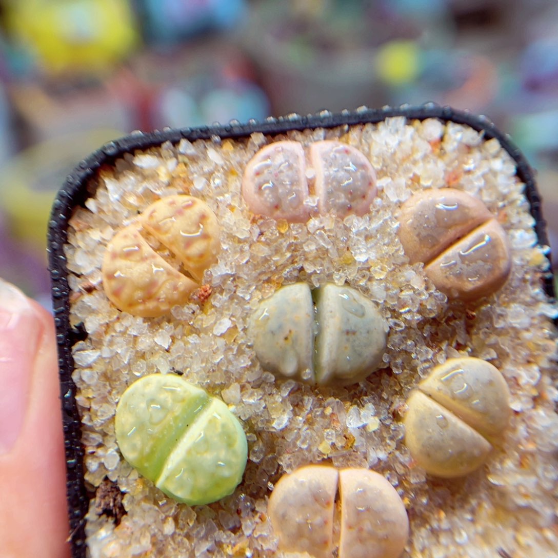 460。880888888888888888