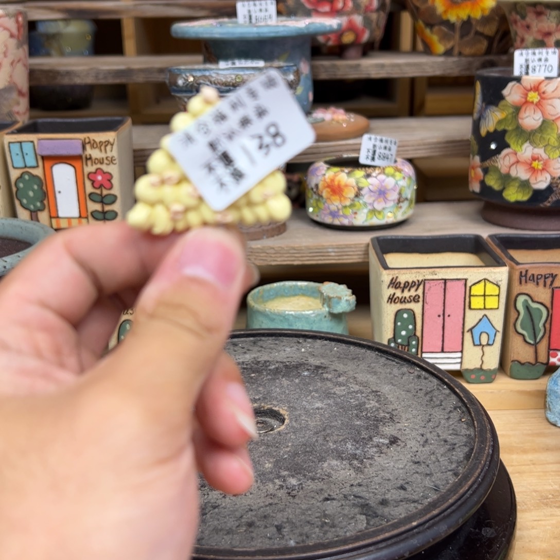 138福利摆件来咯来咯