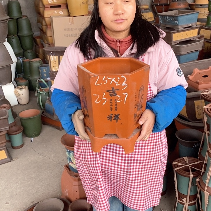 紫砂花盆盆栽花卉苗木种植
