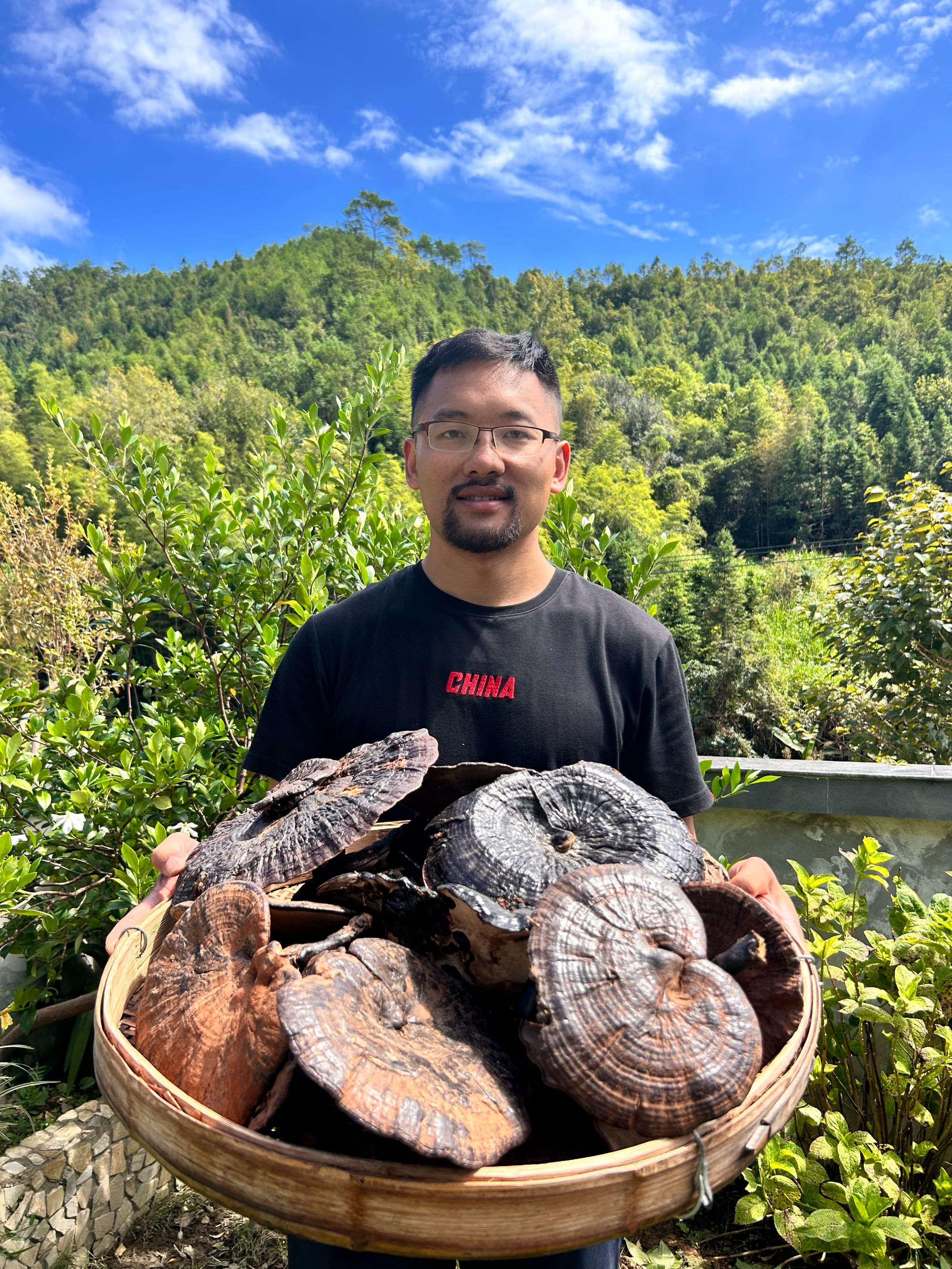 【稻悠悠】福建武平 大灵芝250g/500/g包邮