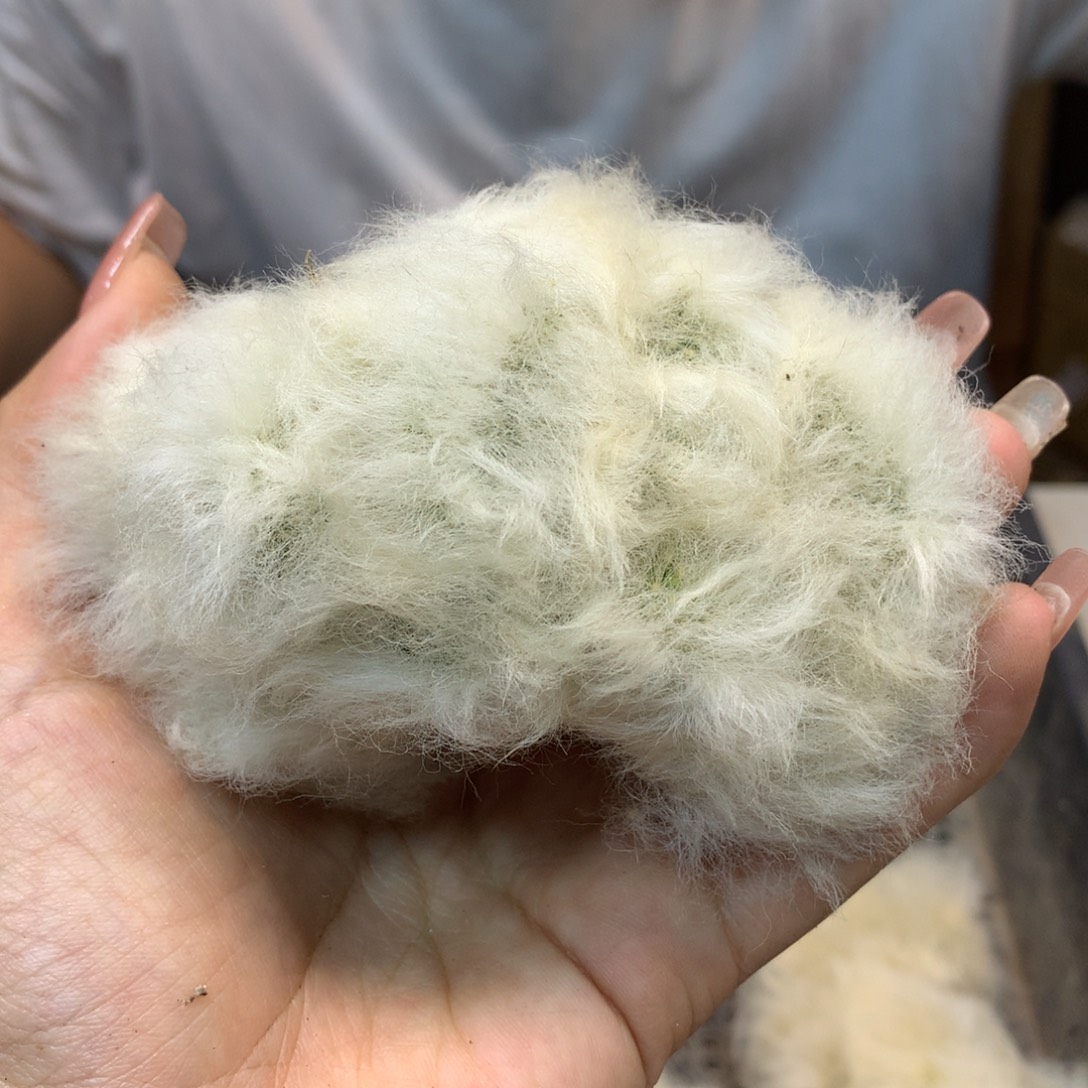      高绒老乐缀化整体7公分起发 无根无木心