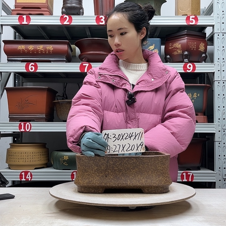 紫砂花盆紫砂花盆