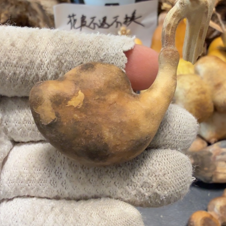 岚***^6666666667777777888888