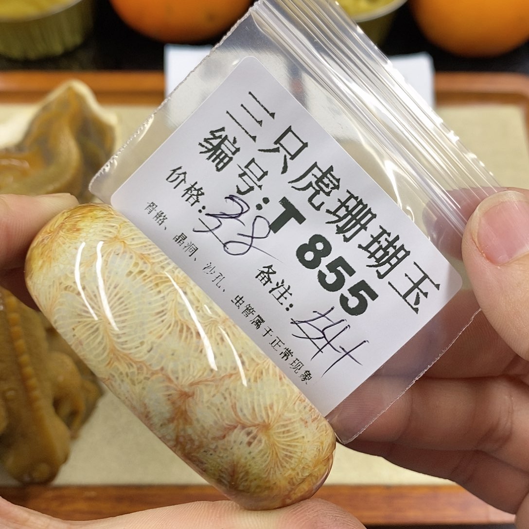 硅化珊瑚（珊瑚玉）1未镶嵌天***?