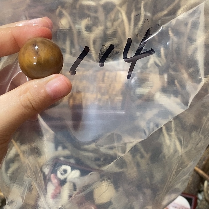 ****无非金属鹿角鹿角