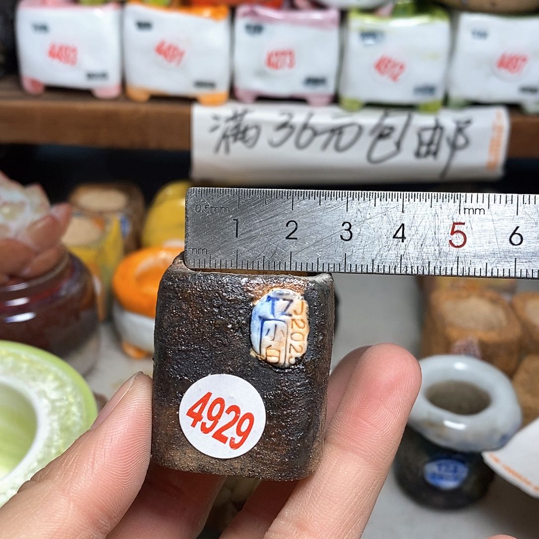 红陶拍5送一个小