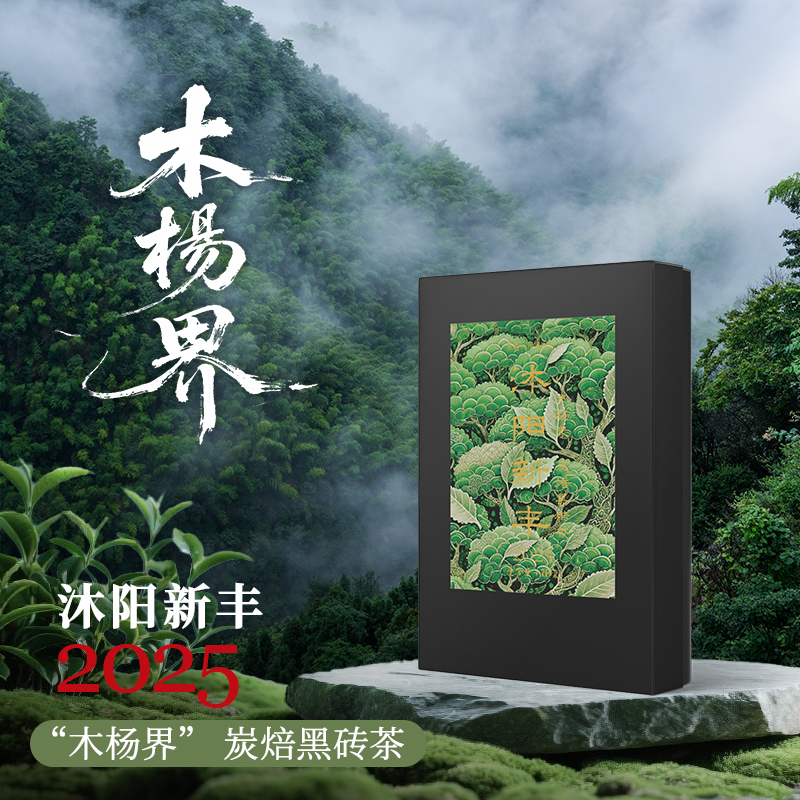 【沐阳新丰炭焙黑砖茶】260g木杨界湖南安化黑茶小师姐评茶