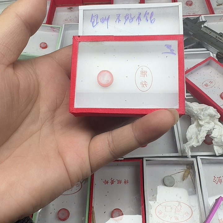 蟋蟀1111111111111111