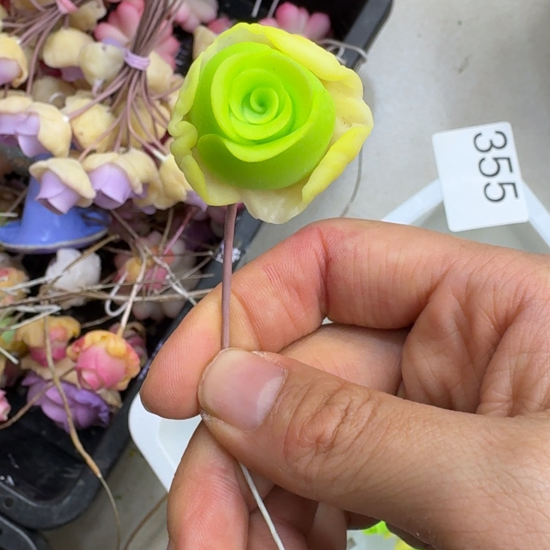 树脂355号哦哦哦哦哦哦哦