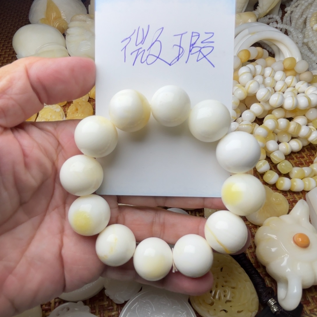 贝壳非金属天然贝壳