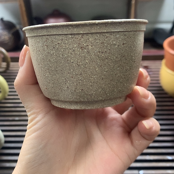 五彩段主人杯130c