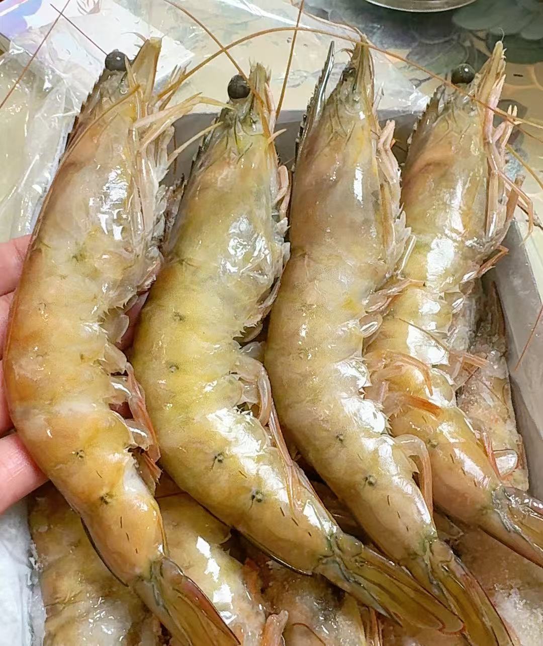 野生对虾7-10个一斤