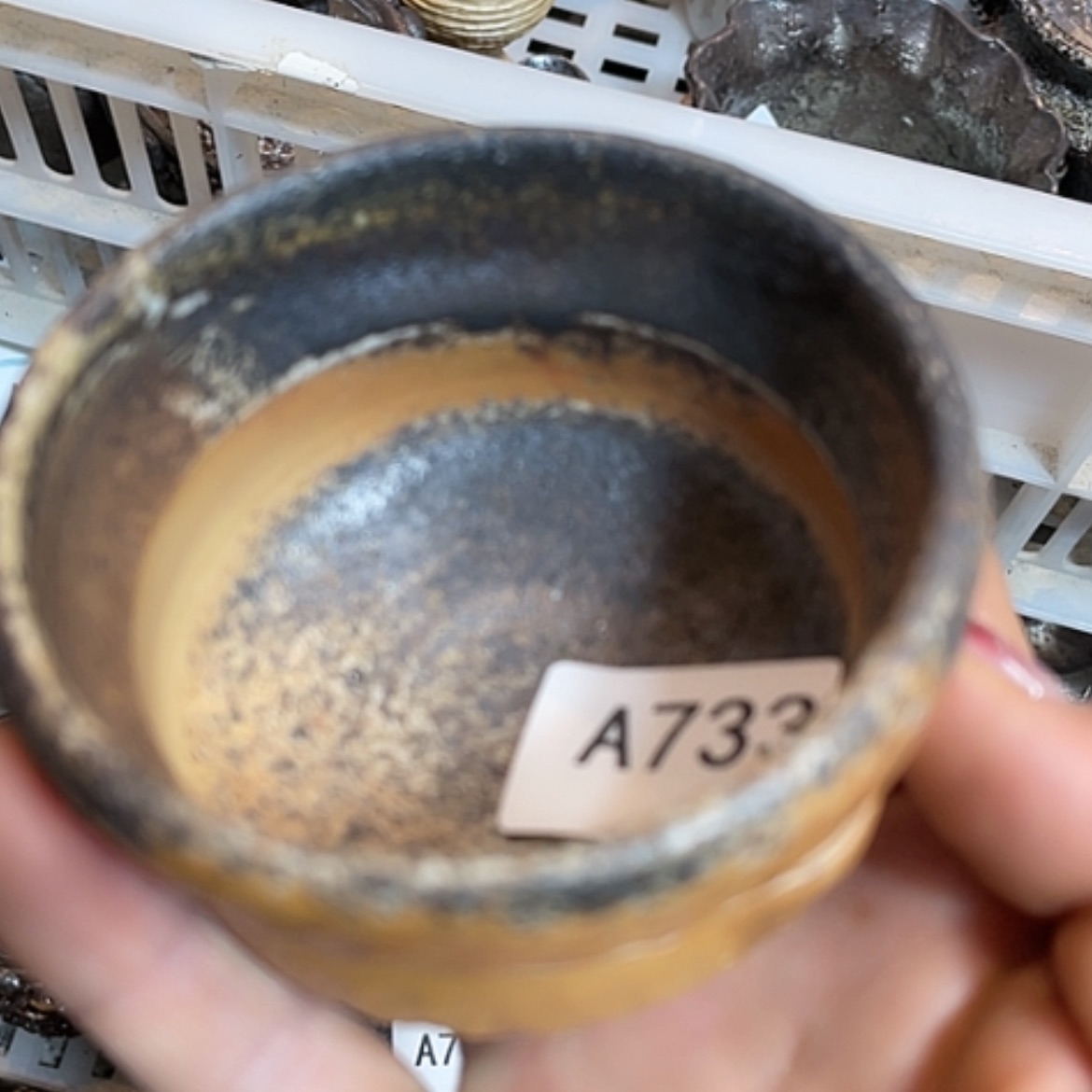 【闪购商品】福利福利好耶好耶