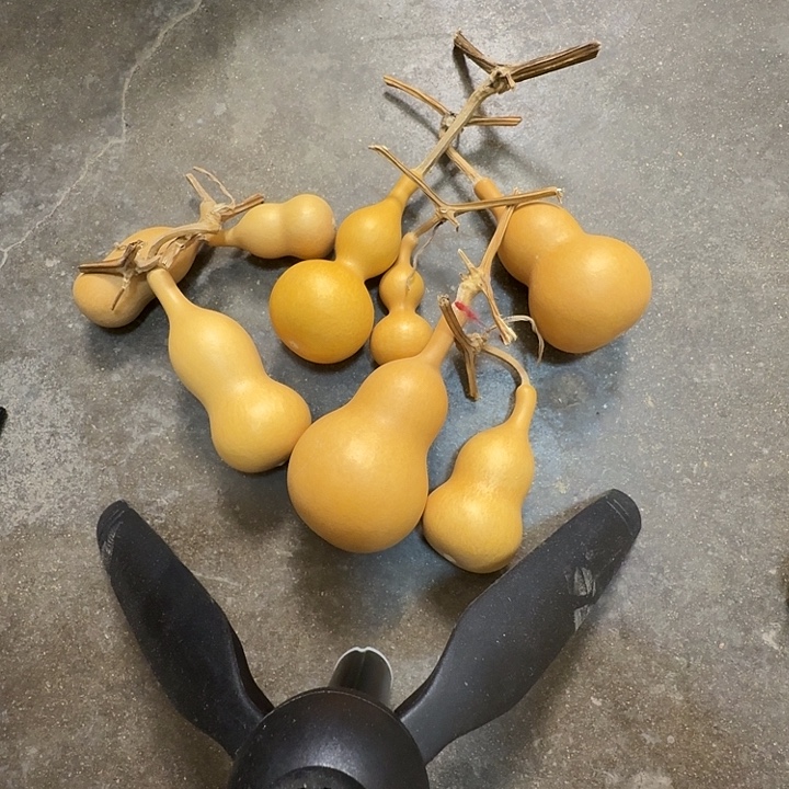 天然文玩小葫芦手把件