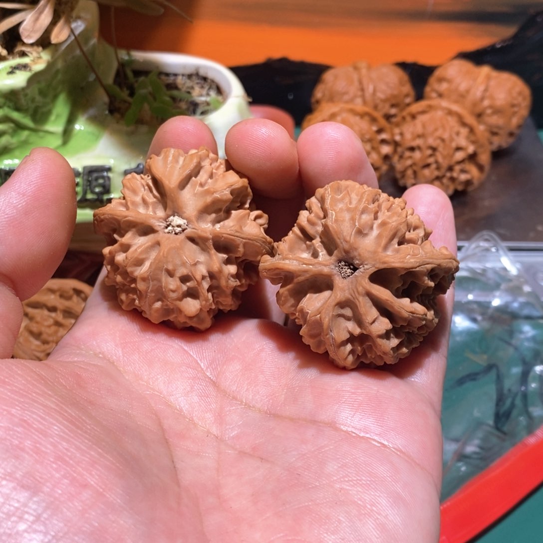 文玩核桃把件?****9苹果园全品