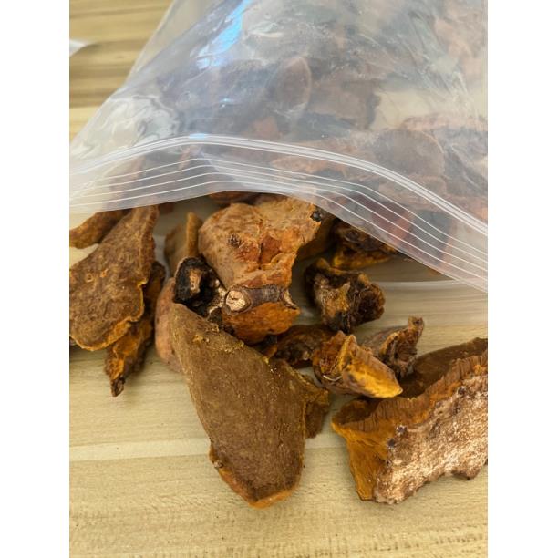 深山杨树桑黄（250克）