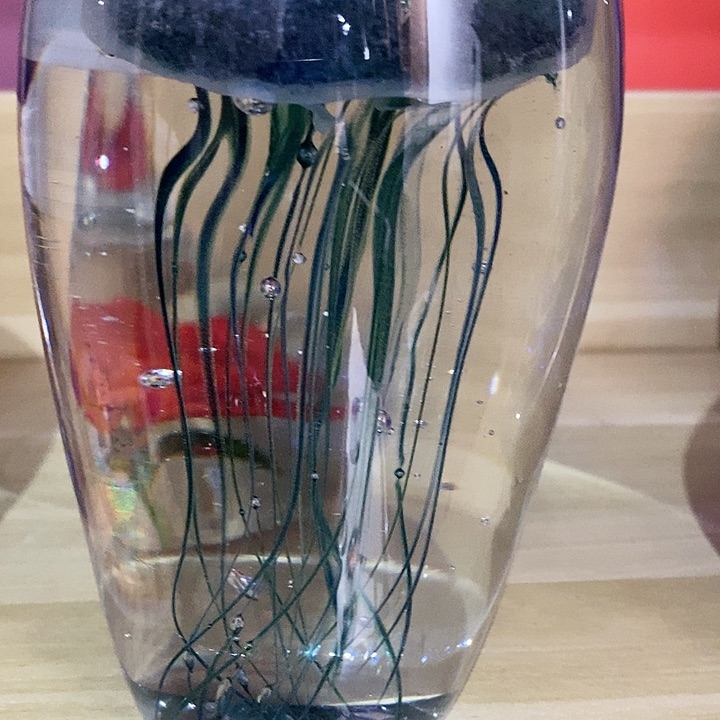 微瑕1266523255625536857