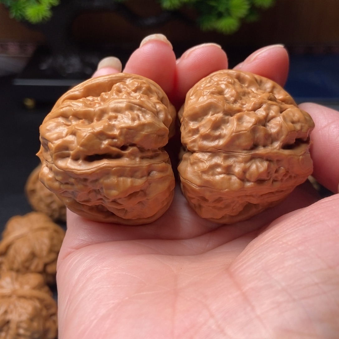 肥***嘟文玩核桃把件蛤蟆头