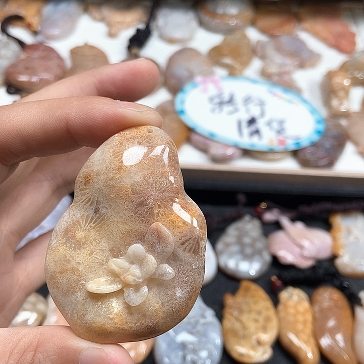 颈饰未镶嵌硅化珊瑚（珊瑚玉）
