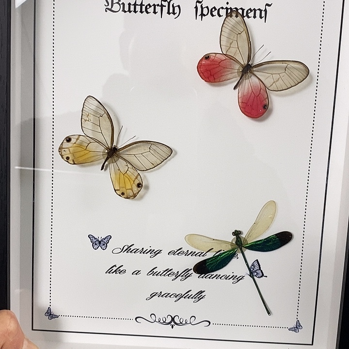 四***春三醋酯纤维春老板