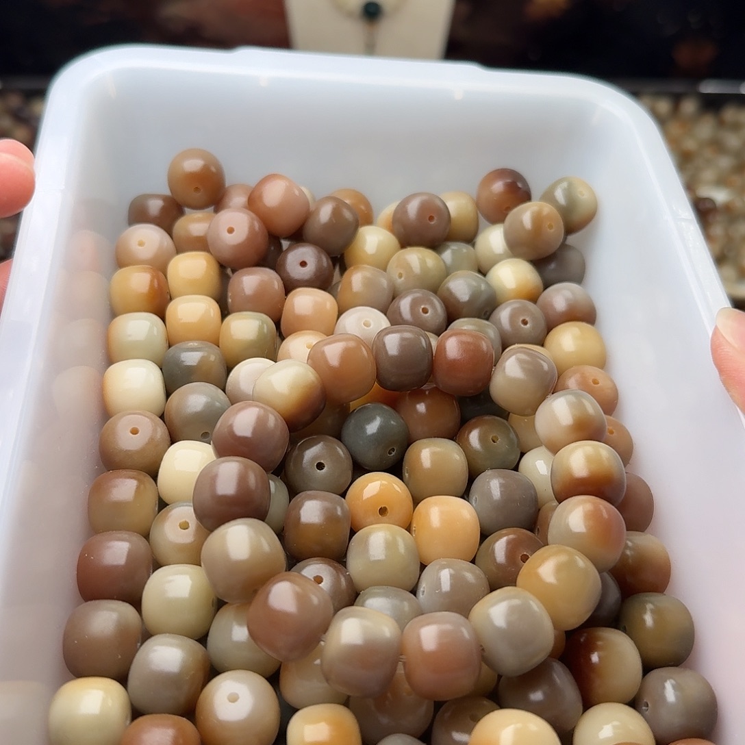 吊坠菩提根/象牙果50颗油膏黛青14桶