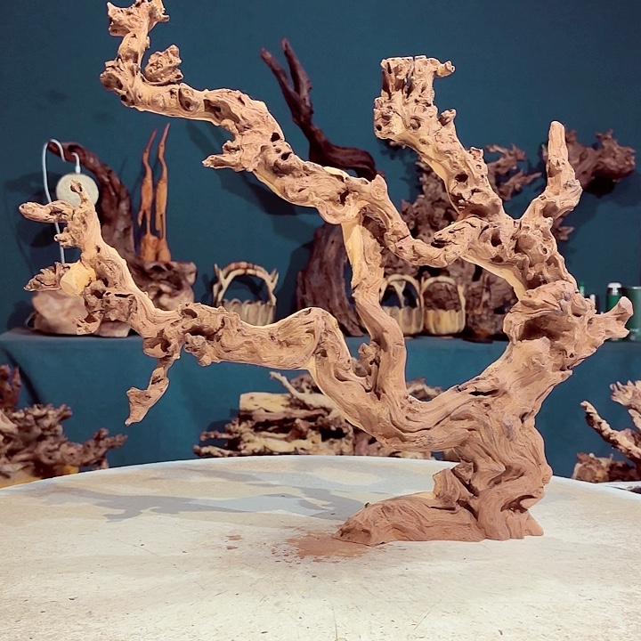 手***6木604 金丝红木羊蹄甲半成品