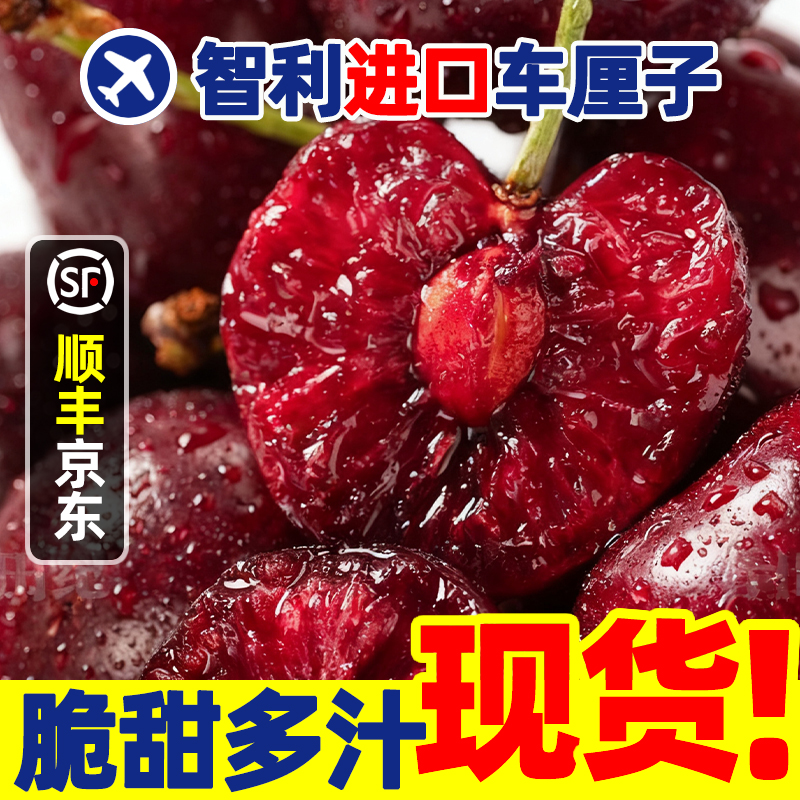 2J-3JD【五斤原箱•明天到】智利进口车厘子孕妇宝宝新鲜内附果径卡海运SS桑提娜樱桃智利共和国