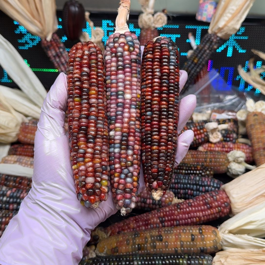 柏香籽/百香籽吊坠灿****?