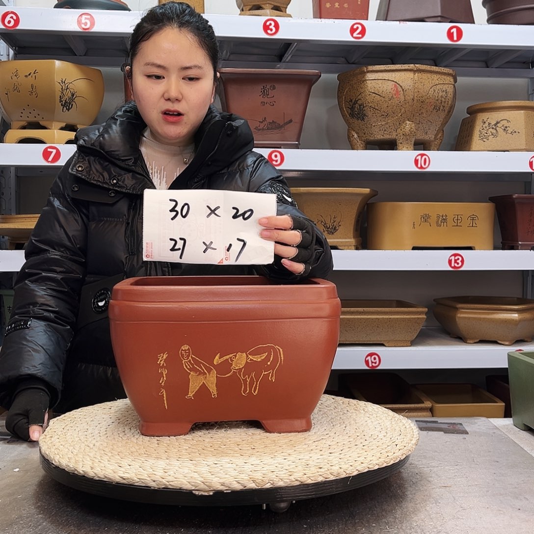 紫砂花盆紫砂花盆