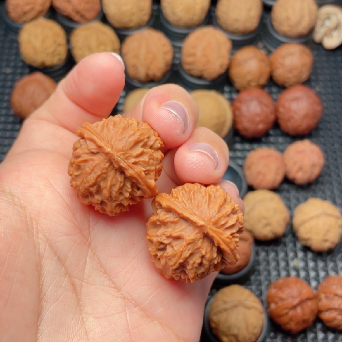 【闪购商品】把件文玩核桃小荔枝
