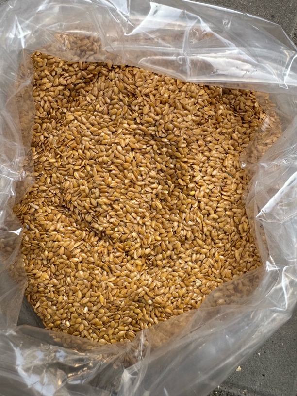 【现收农家好物】 柏籽仁/  藕250-500g