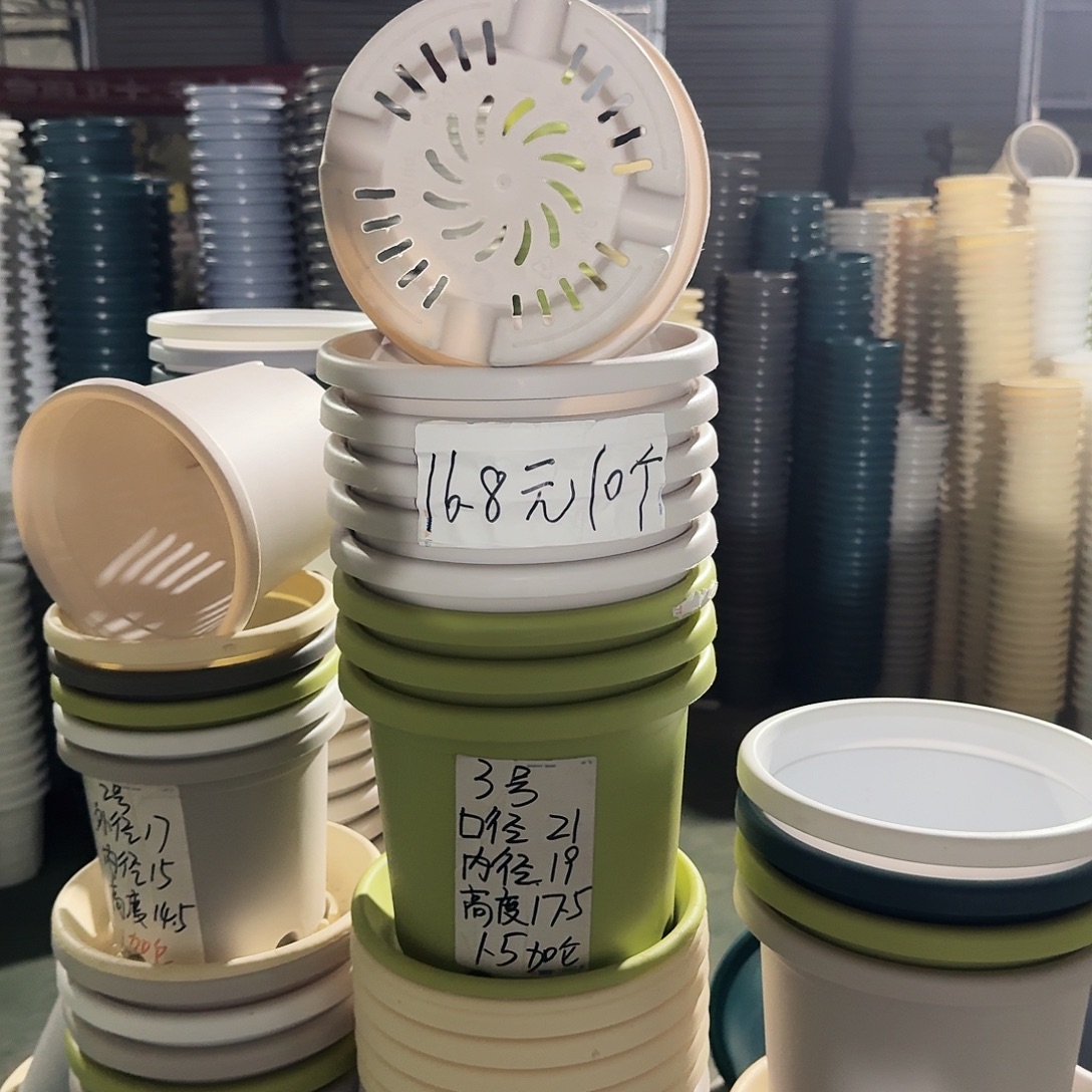 灰白啊色3号无拖10个