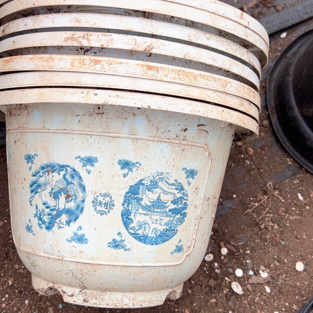 富贵花开盆25.5口径17.5高 7个