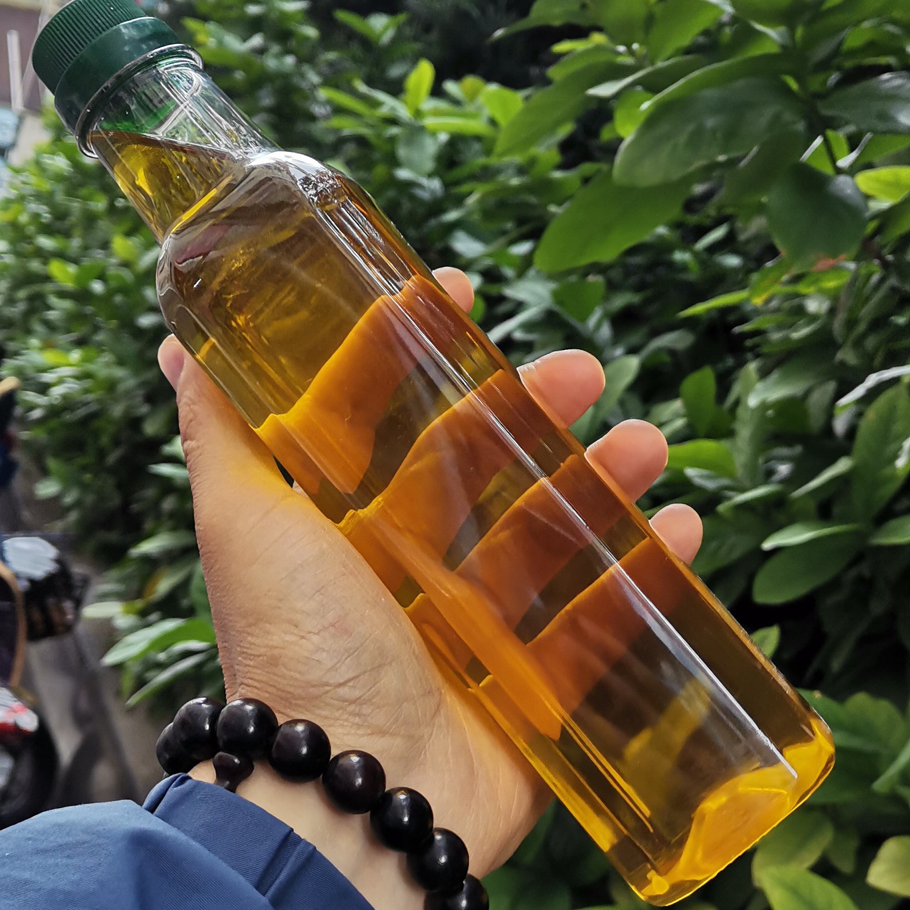 三明农家山茶油一瓶500克