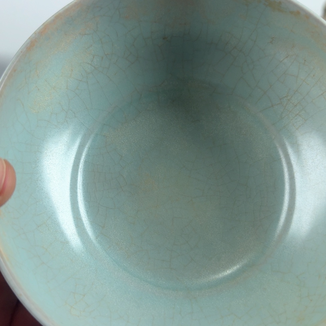 碟观*堂兔子邻居邻居邻居邻居