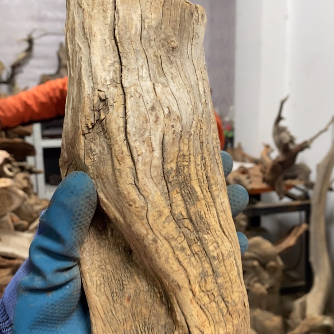 柏木蛇**转我们都是好孩子