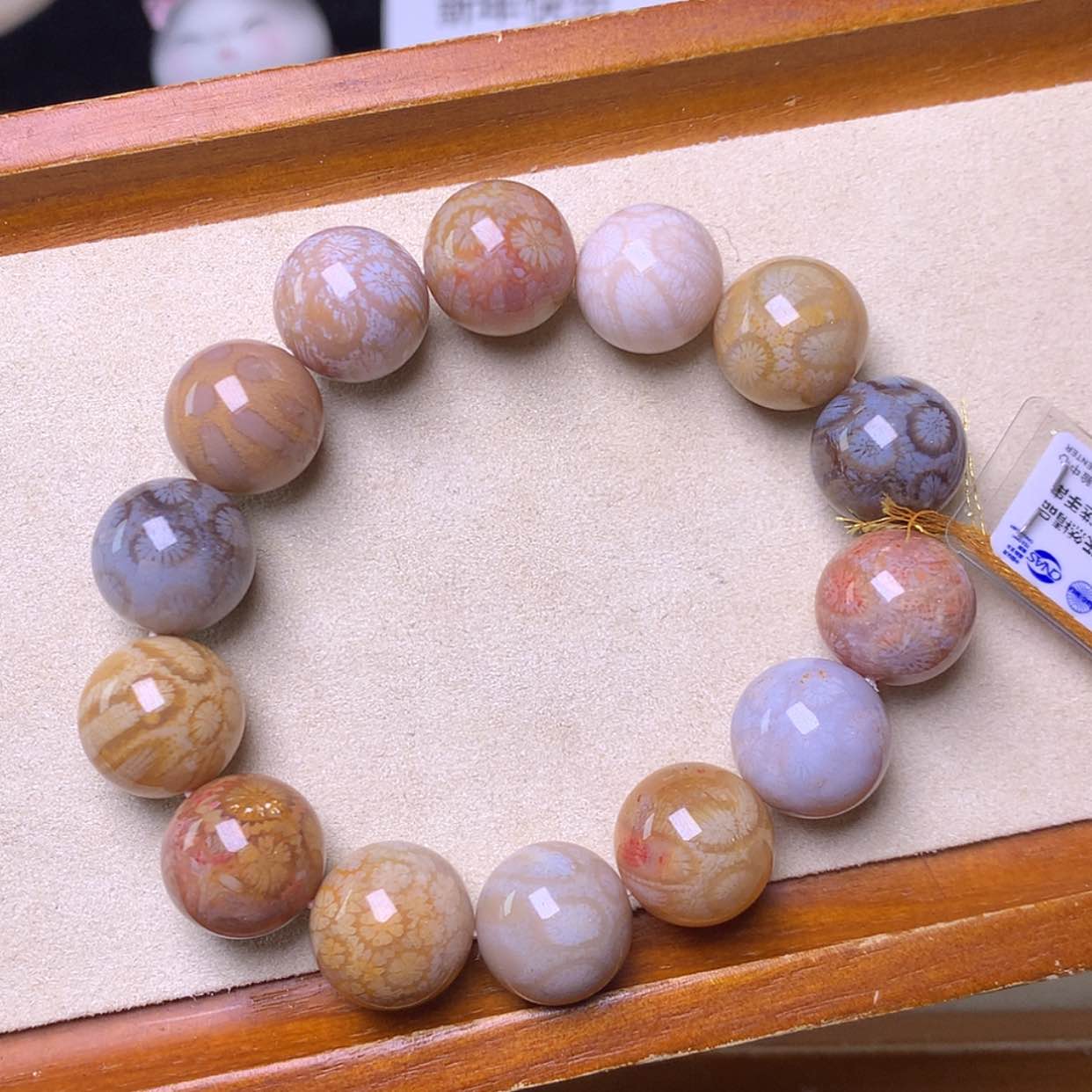 【闪购商品】硅化珊瑚（珊瑚玉）手镯未镶嵌400漏200