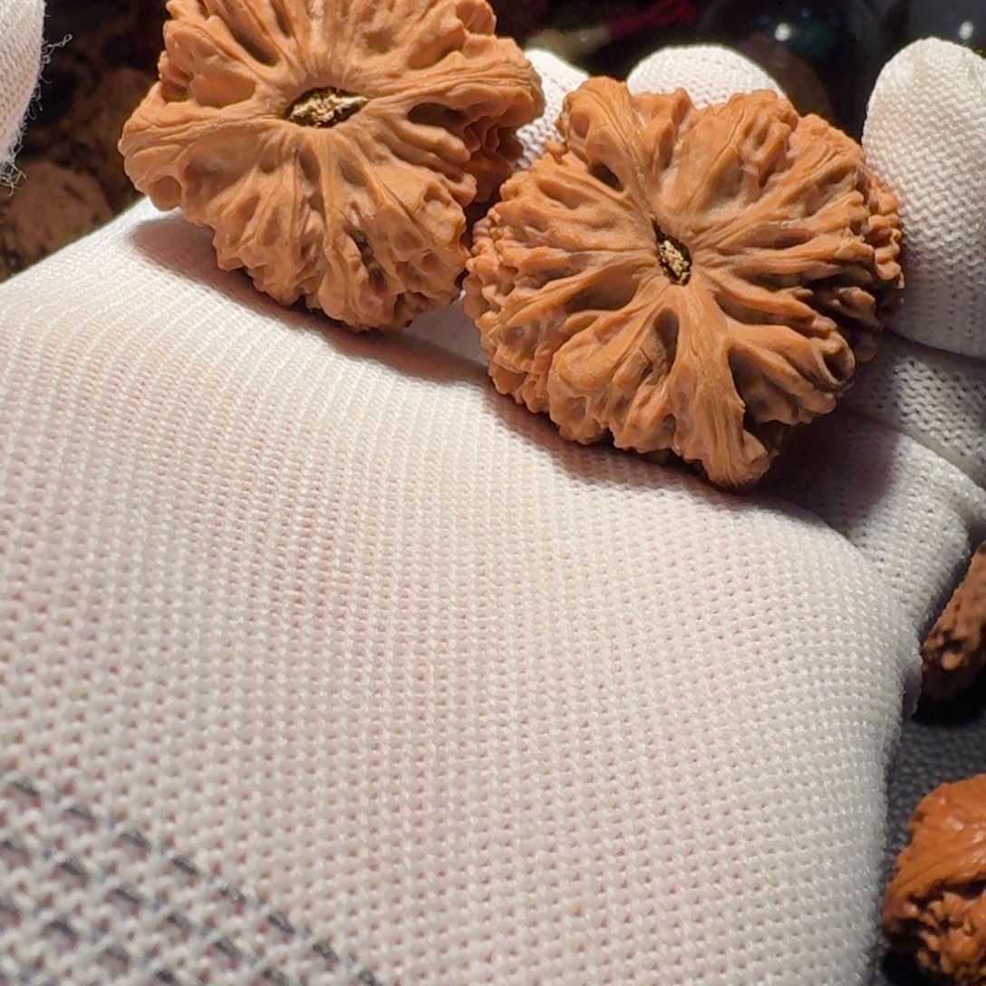 吊坠文玩核桃有修有黄有色差