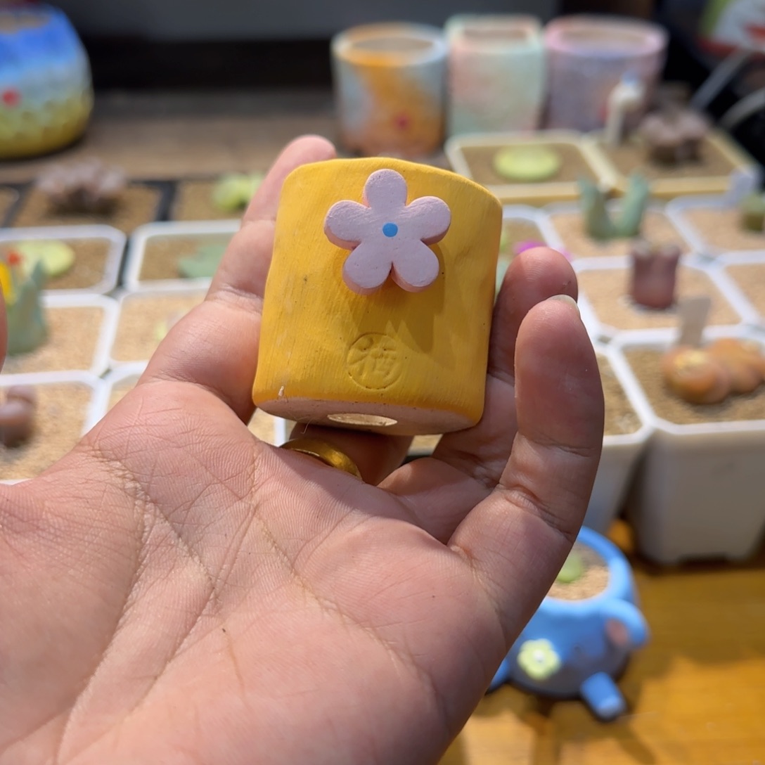 污****凄凄切切地在一起了吗哈哈笑的