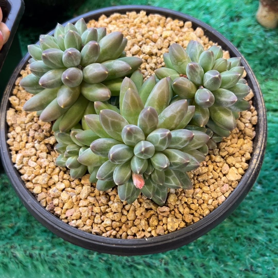 6， ，，，，，，，，，，，，，，，，，，