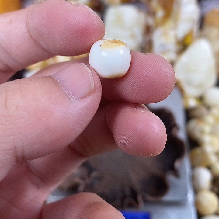 琥珀未镶嵌裸石我