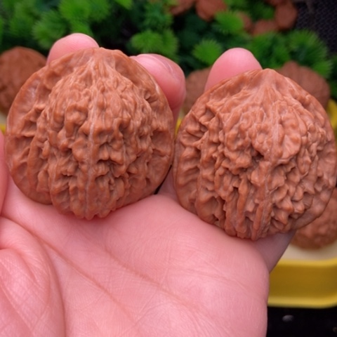 三角楼43.5全品1111111