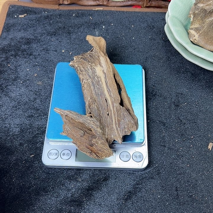 有机玻璃1***1海南虫漏24.6克