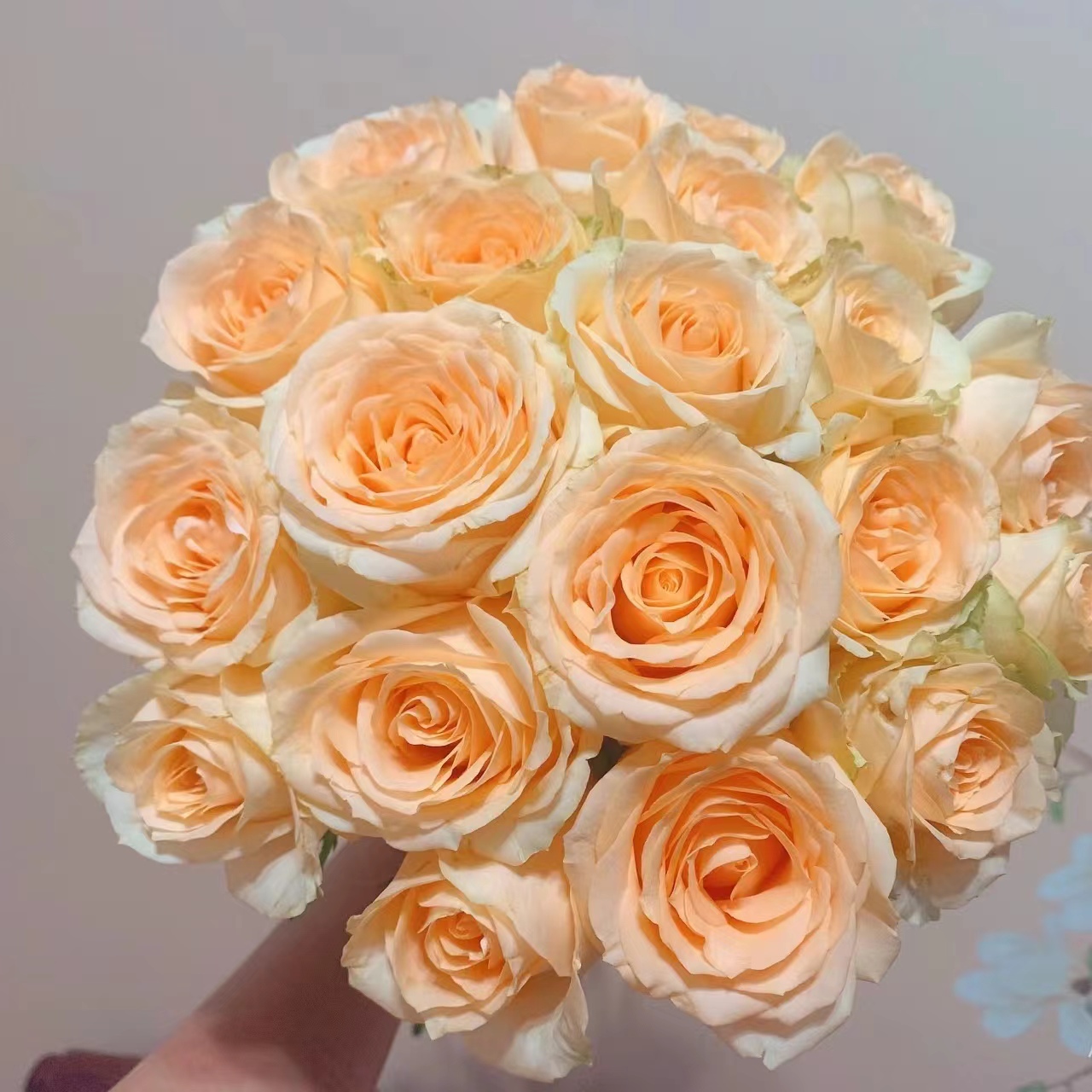 10枝方德荷冠蜜桃雪山玫瑰（杆子细花头小）【两单京东或顺丰】鲜花