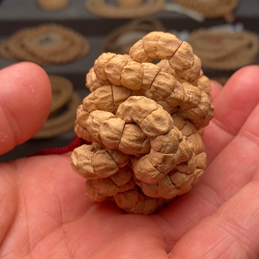 柏香籽/百香籽手串