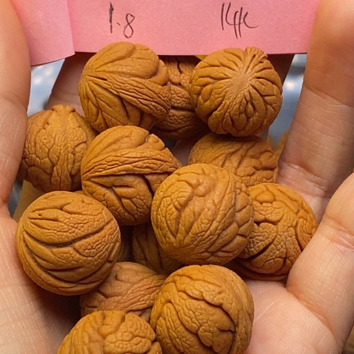 吊坠桃核秦岭龙纹桃核18尺寸